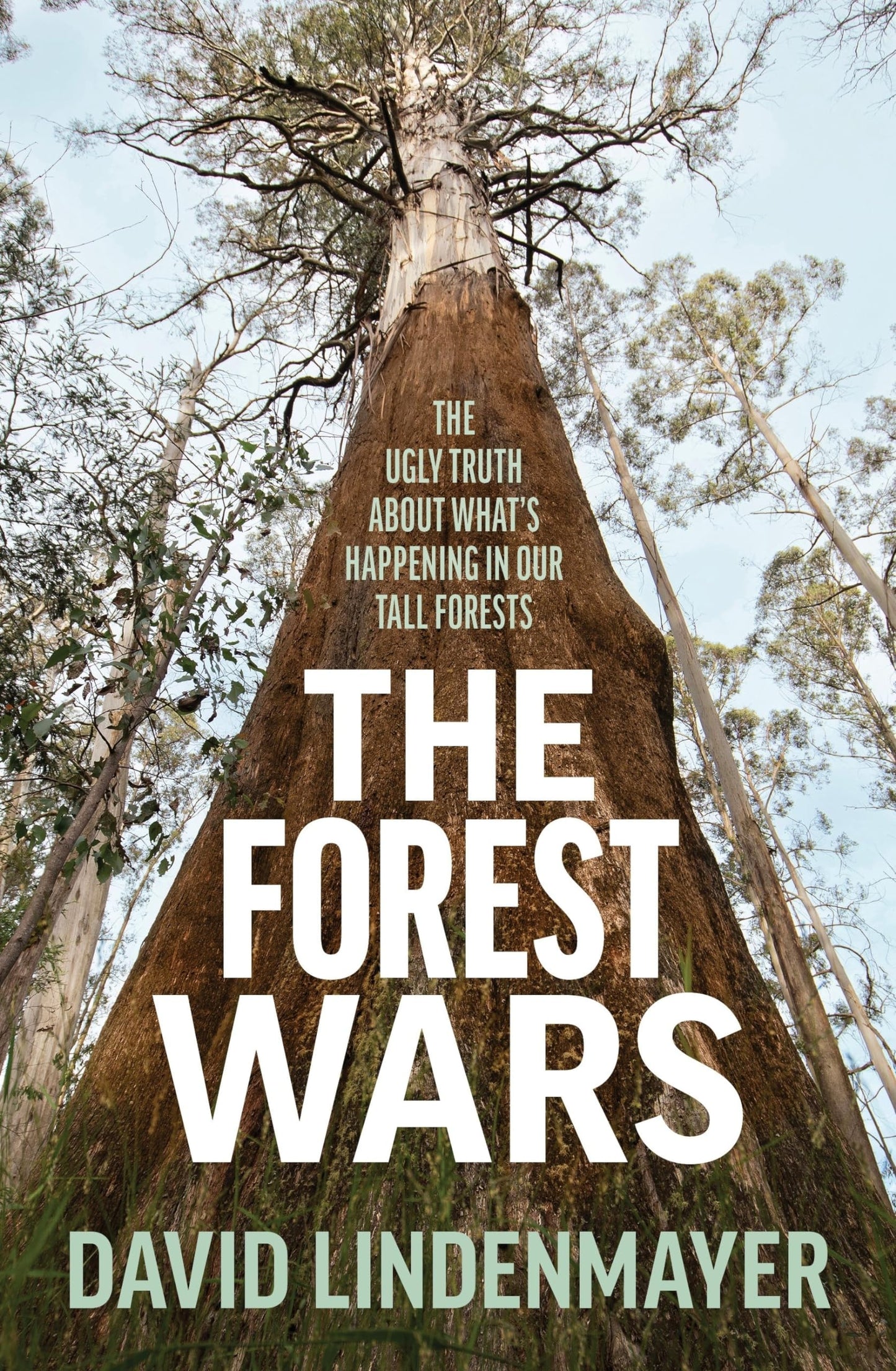 The Forest Wars The Ugly Truth about What's Happening in Our Tall Forests