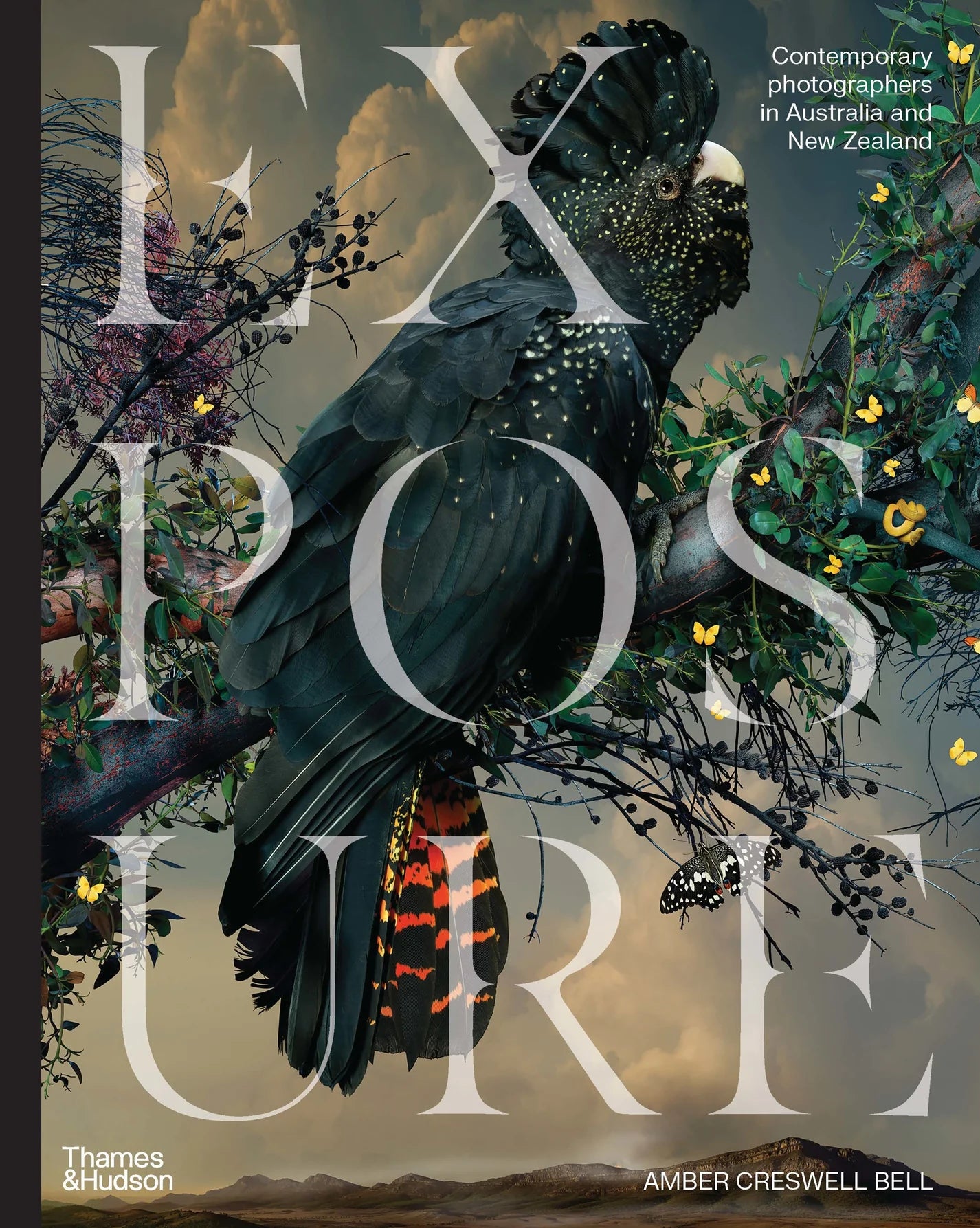 Exposure Contemporary Photographers in Australia and New Zealand