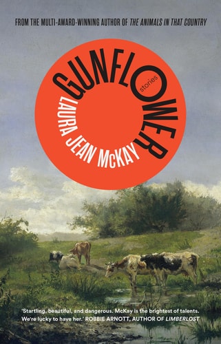 Gunflower Stories