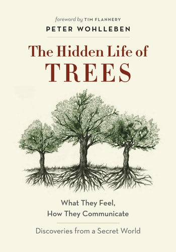The Hidden Life of Trees What They Feel, how They Communicate : Discoveries from a Secret World