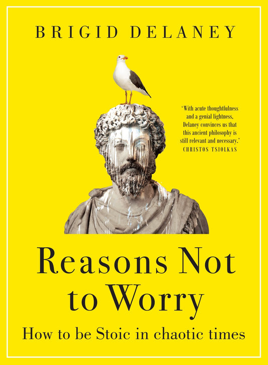 Reasons Not to Worry How to Be Stoic in Chaotic Times