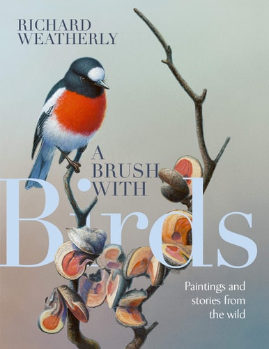 A Brush with Birds Paintings and Stories from the Wild
