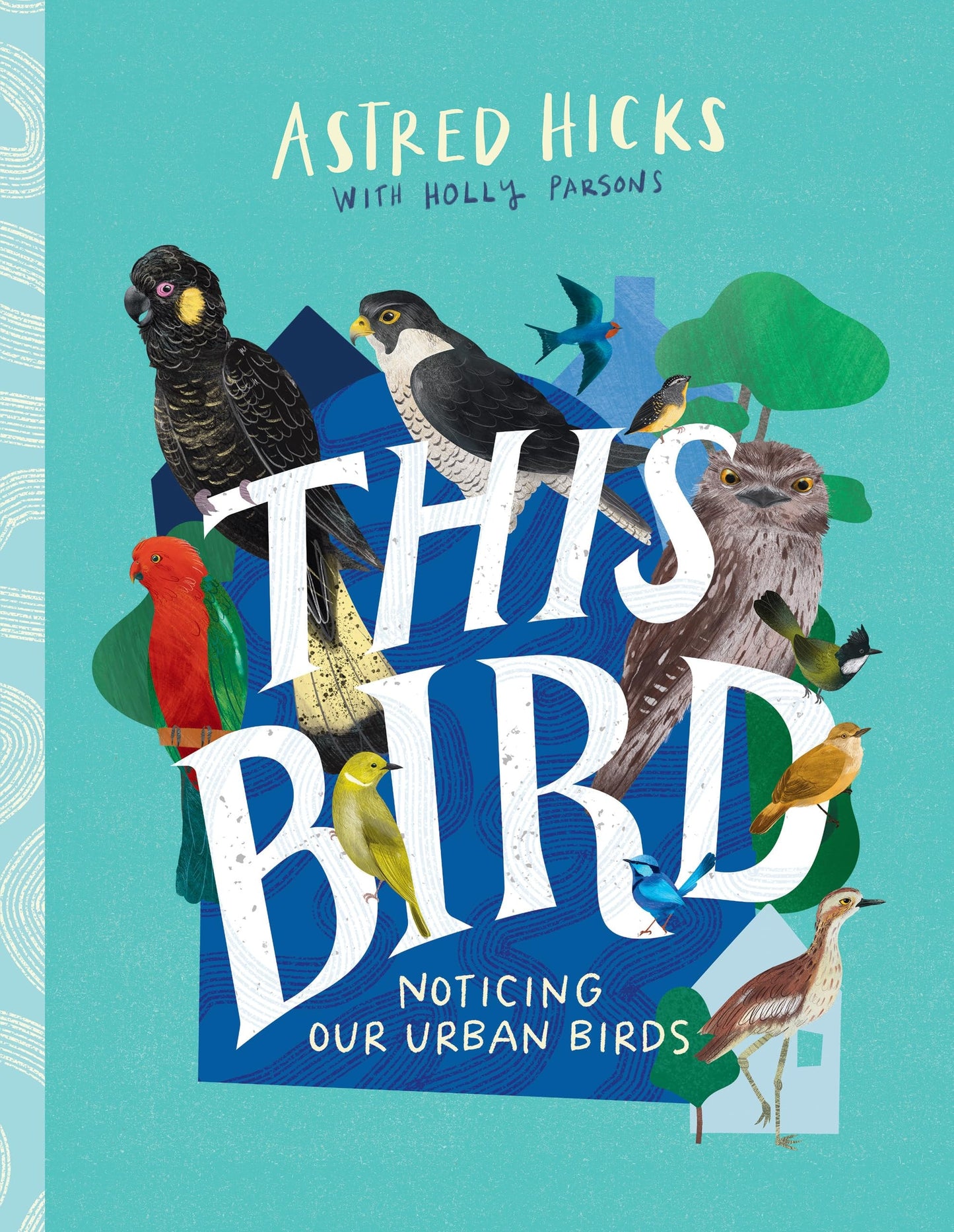 This Bird Noticing Our Urban Birds